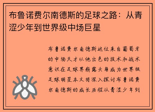 布鲁诺费尔南德斯的足球之路：从青涩少年到世界级中场巨星